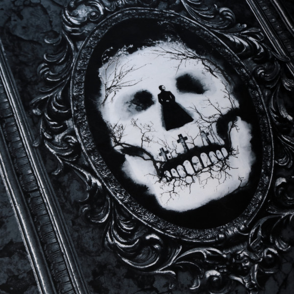 X Webware Panel Haunted Skull