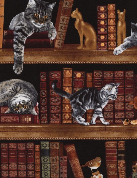 C2863-library-Cat
