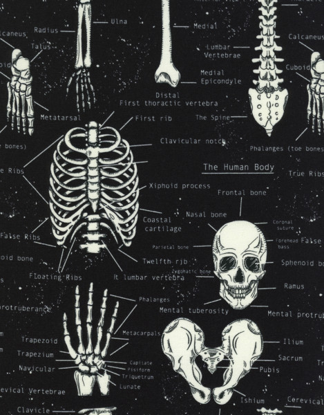 stoff totenkopf glitzer gothic diy günstig kaufen meter